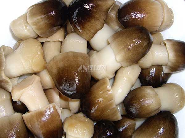 草菇香精 鲜菇香精  优质食品级香精