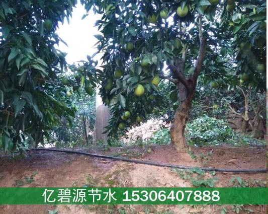 张掖山丘喷灌系统造价分析  张掖喷灌系统