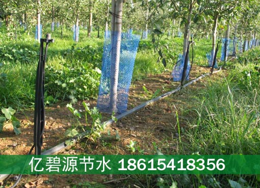 平凉果树全自动喷灌系统施工报价单  平凉果树喷灌  平凉喷灌系统