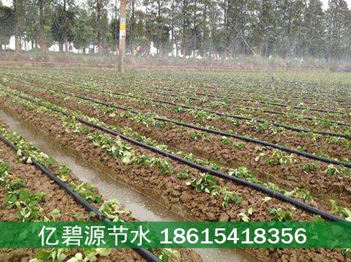 酒泉大棚蔬菜喷灌系统设计参数  酒泉喷灌系统