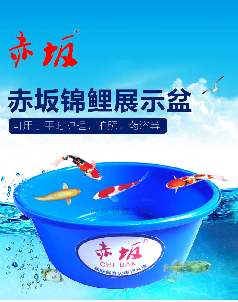 赤坂移动盆 拍照药浴塑胶盆