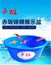 赤坂展示盆 广东塑胶鱼盆批发