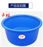 锦鲤鱼盆 赤坂塑胶展示盆