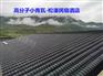 陕西省宝鸡市凤县彩钢琉璃瓦价格