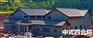 重庆市秀山县青色琉璃瓦价格实惠