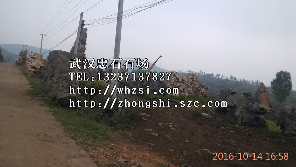 武汉单位用上吸水石基地_天门武昌上吸水石批发_武汉上  武汉单位用吸水石  天门武昌上水石  武汉上吸水石
