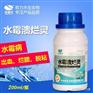 鱼长白毛了白斑白点怎么办