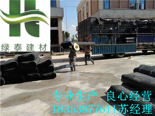 沧州车库塑料疏水板3公分排水板施工图片  沧州车库疏水板  沧州塑料疏水板  宿州3公分排水板