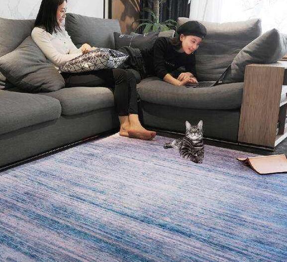 暖斯尔改善供暖环境 成就供暖行业领先地位  暖斯尔地暖怎么样