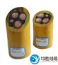 保定市MHYBV煤矿用铜芯电缆厂家有哪些？