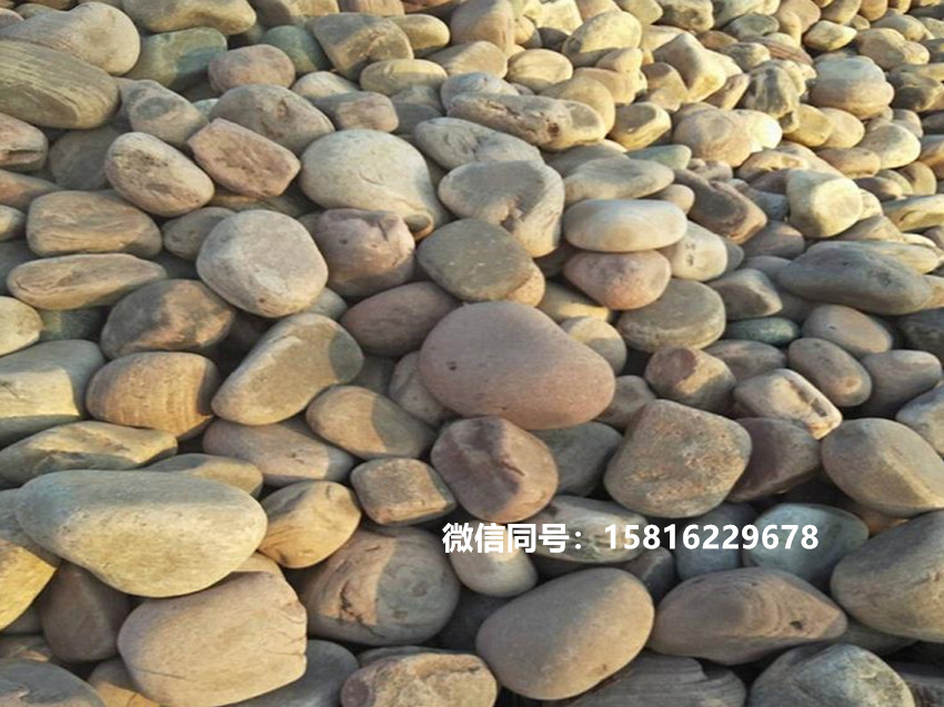 铺路造景鹅卵石 普通鹅卵石 天然鹅卵石滤料1