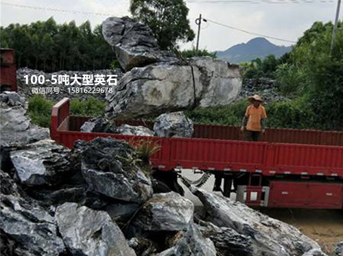 园林工程造景石 湖北大型假山石 大英石直销产地2