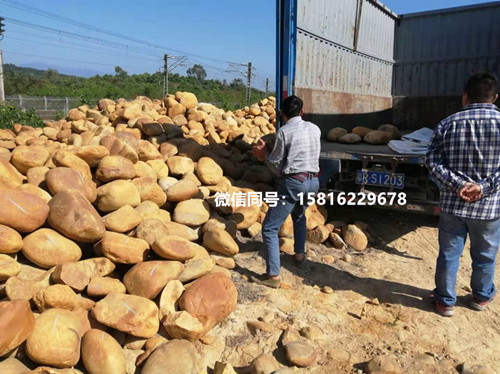 庭院假山造景图 黄蜡石景观 小型黄蜡石价格 广东黄蜡石产地1