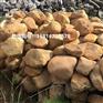 黄蜡石假山图片 园林黄蜡石景观 花园黄蜡石点缀1