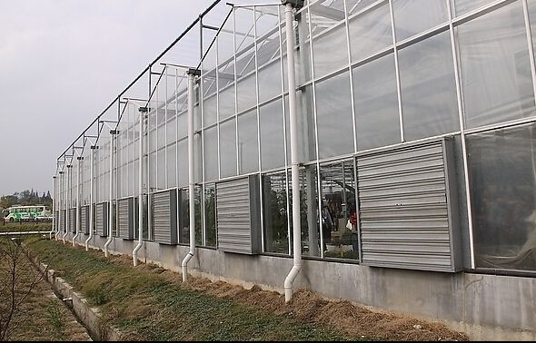 大棚降温系统风机水帘