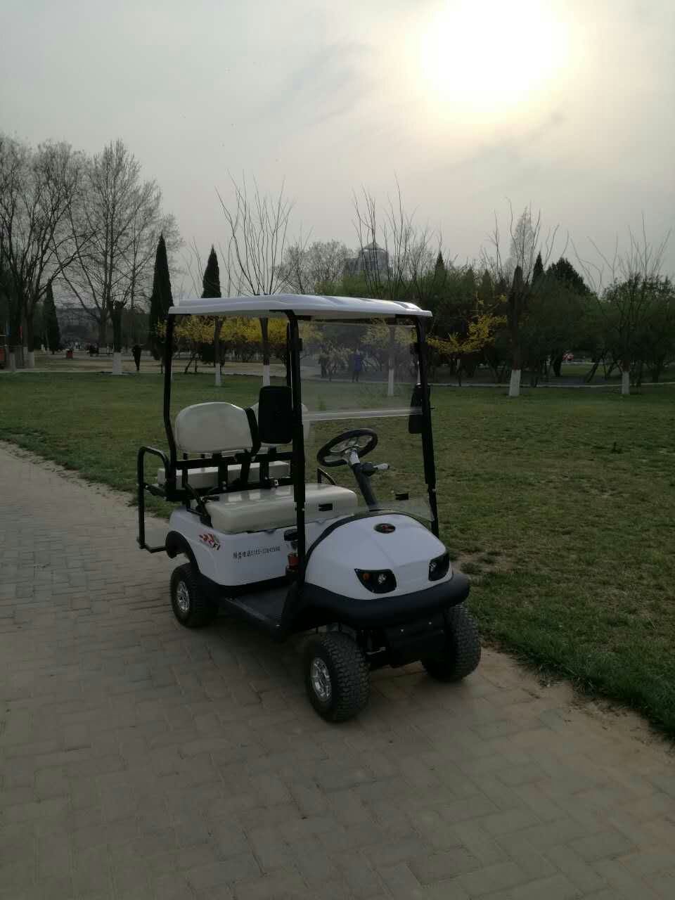 敖翔高端四轮电动车 高尔夫电动跑车  高尔夫球车  旅游观光车