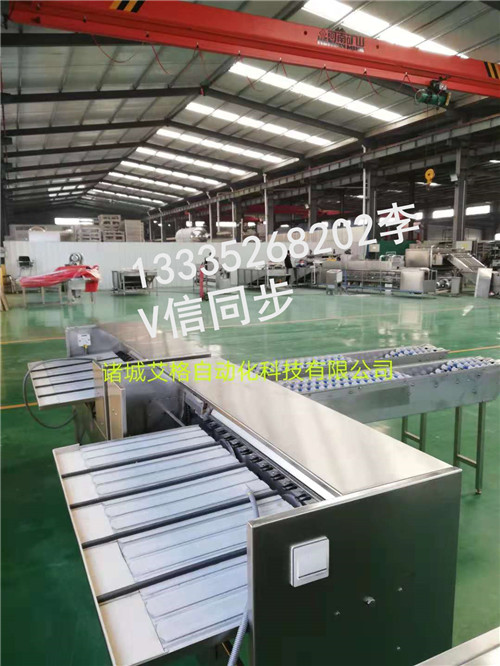 蛋品清洗机,洗咸鸭蛋机&nbsp;&nbsp;蛋品清洗光检机