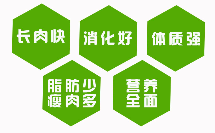 肉牛养殖技术中的牛饲料怎么搭配