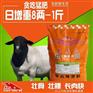怎样育肥羊，育肥羊的养殖方法，羊育肥方法