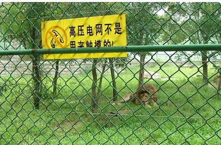 黄冈市浸塑加工勾花网 动物园勾花网