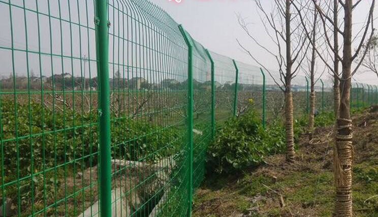 蔬菜大棚护栏网 蔬菜基地围网、钢丝网铁丝网  蔬菜基地围网护栏