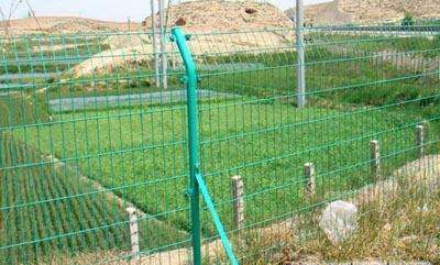 蔬菜大棚护栏网 蔬菜基地围网、钢丝网铁丝网  蔬菜基地围网护栏