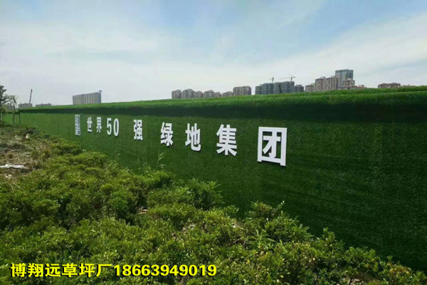 不掉渣墙面15mm人造草坪代理商（漯河）