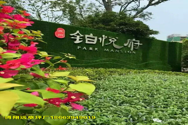 怀化厂家新闻:墙面牌塑料草坪每平米价格