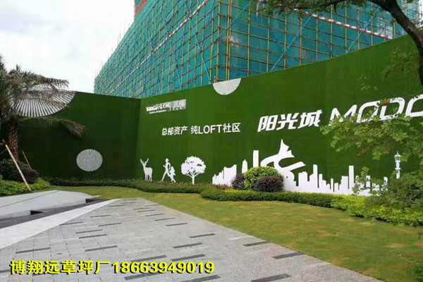 舒适环保绿色墙面档草皮品牌（庆阳）