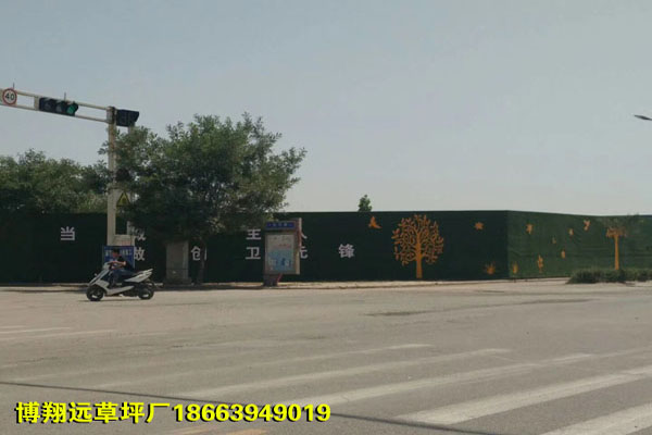 不掉渣墙面15mm人造草坪代理商（漯河）