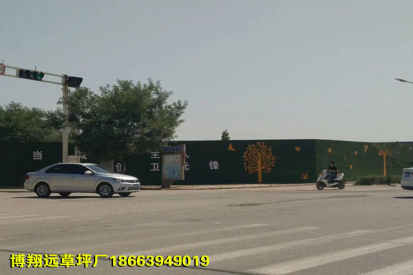 随州厂家联系电话:草皮怎么用
