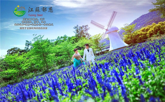 双鸭山市四季花海一体化施工