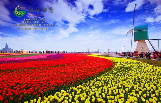 双鸭山市四季花海一体化施工