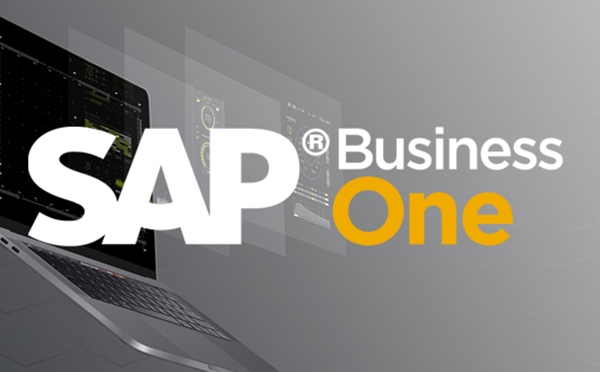 北京SAP咨询公司 北京SAP ERP实施供应商 达策信息