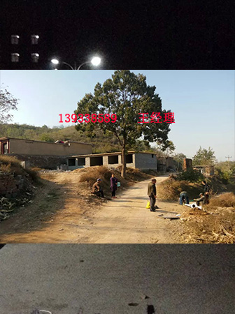 招远市维修太阳能路灯物美价廉