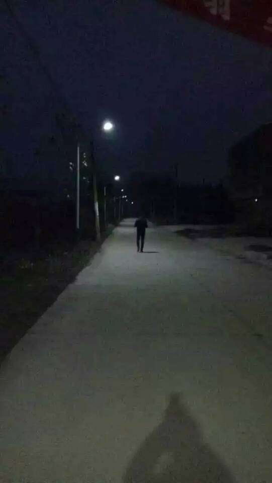 郯城县生产太阳能路灯批发价