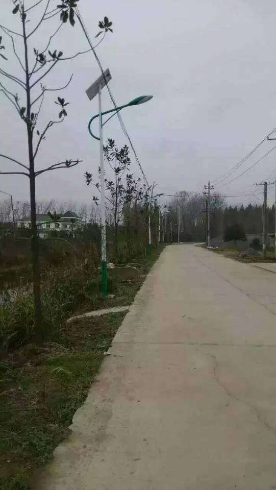 招远市维修太阳能路灯物美价廉