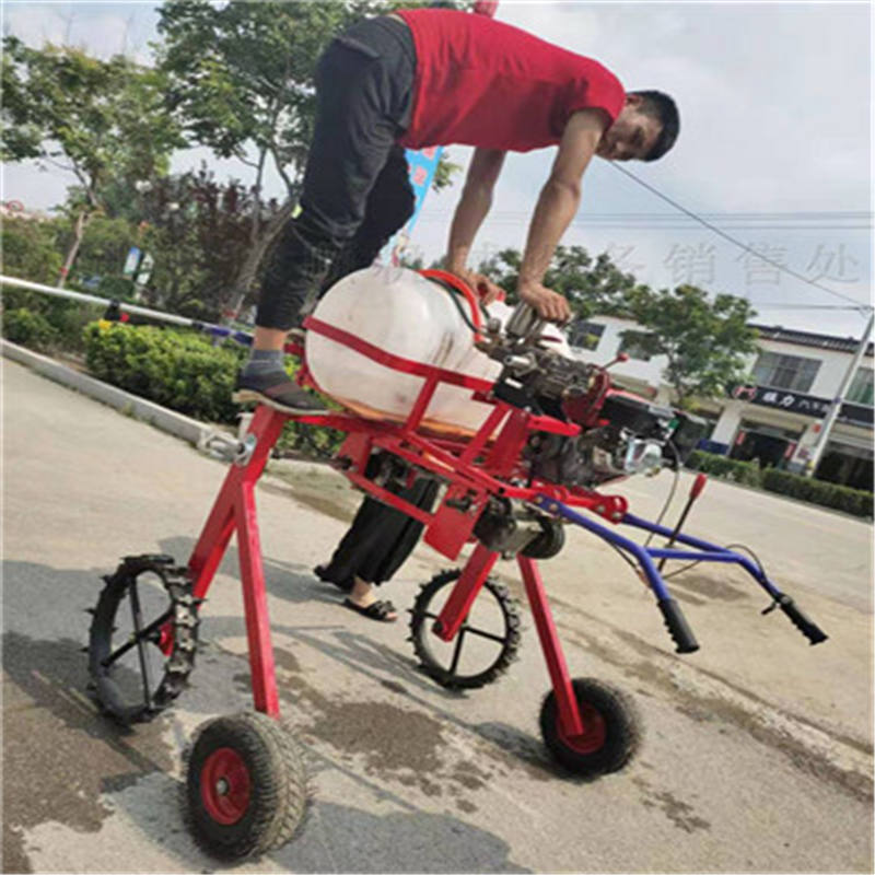 甘孜汽油喷雾器设备