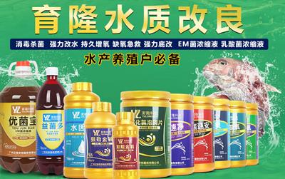 硫酸新霉素原粉厂家选择正格农牧兽药厂家，信誉保证  泰妙菌素批发厂家