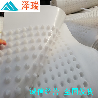车库排水板%重庆地下室防护排水异型片规格  重庆车库排水板  重庆地下室排水板  重庆防护排水板