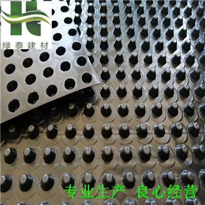 肇庆种植车库蓄排水板|汕尾2公分滤水板厂家  肇庆车库蓄排水板  肇庆种植蓄排水板