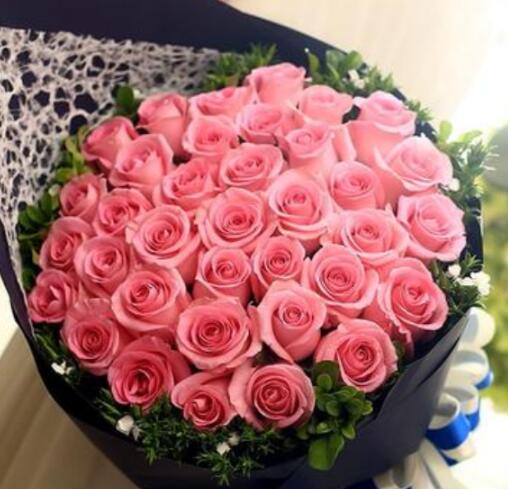 告白花艺惊喜连连 花海就眼前 告白盆景 告白苗木