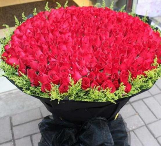 告白鲜花 带着新鲜的露水送货上门  告白花卉