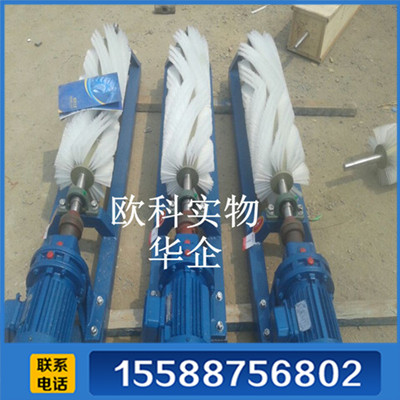 皮带滚刷清扫器  滚刷式清扫器价格  电动旋转式清扫器&nbsp;&nbsp;毛刷清扫器&nbsp;&nbsp;电动滚刷清扫器&nbsp;&nbsp;滚筒毛刷清扫器