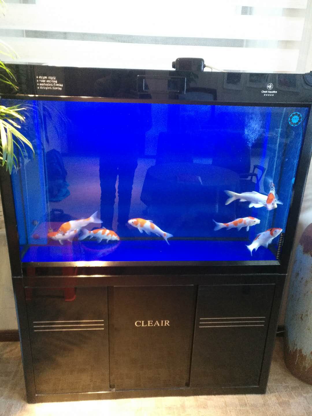 济南高新区舜泰广场鱼缸清洗  清洗鱼缸