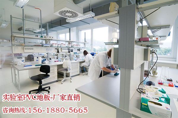 找实验室PVC地板选择酆广装饰材料，酆广装饰材料实