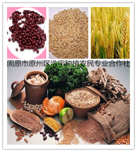 精选原产地黄土高原优质材料红豆薏仁枸杞粉代餐粉