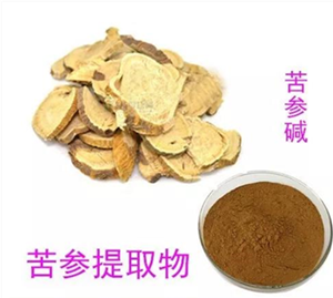 苦参提取物 苦参碱 厂家直销