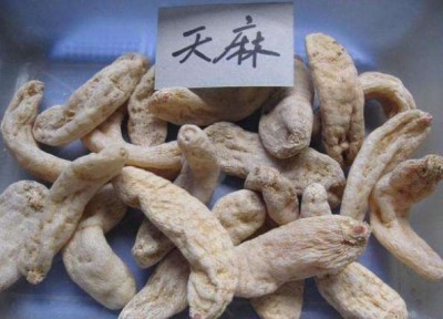 天麻提取物、天麻素