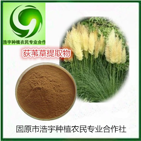 荻苇草提取物浓缩浸膏粉 全水溶地尾草粉150目 荻苇草浓